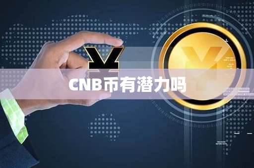 CNB币有潜力吗