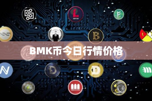 BMK币今日行情价格第1张-币资讯