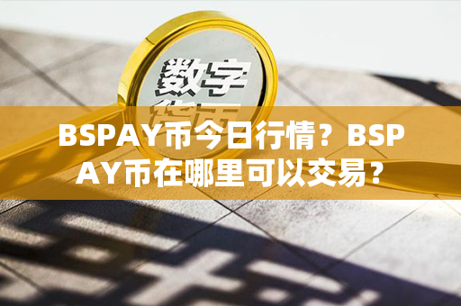 BSPAY币今日行情？BSPAY币在哪里可以交易？第1张-币资讯