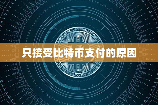 只接受比特币支付的原因