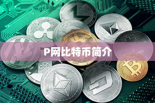 P网比特币简介第1张-币资讯