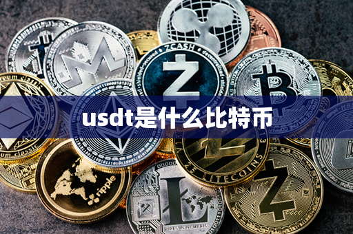 usdt是什么比特币第1张-币资讯